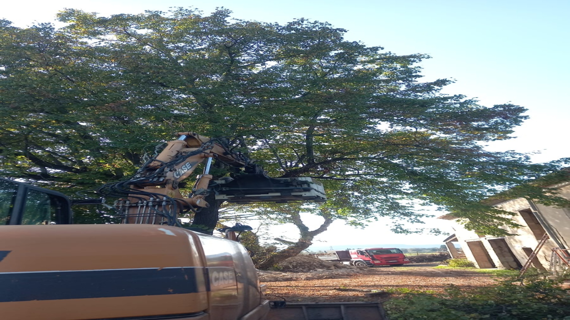 Pelle hydraulique LBTP en intervention d'abattage d'arbre sur chantier — Vaucluse (84)