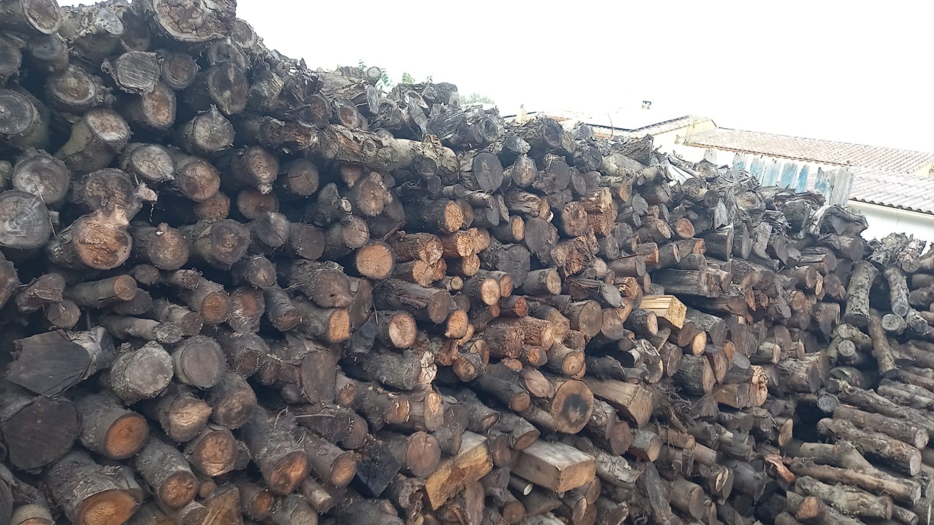 Camion LBTP chargé de troncs d'arbres après abattage — évacuation du bois